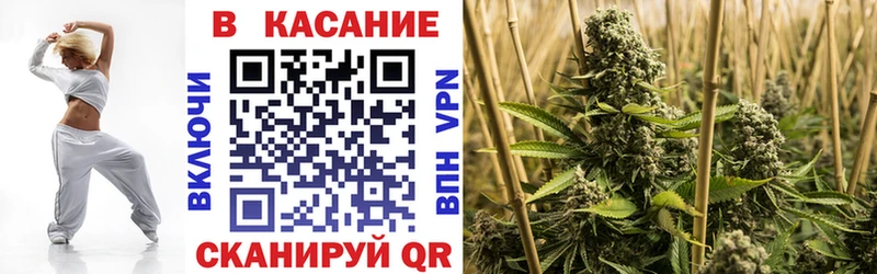 Купить закладку Петрозаводск Каннабис Alpha PVP COCAIN Гашиш МЕФ
