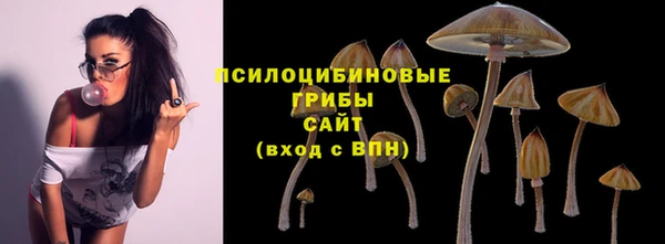 амф Каменногорск
