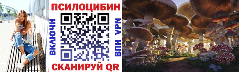 Псилоцибиновые грибы Psilocybe  сколько стоит  Петрозаводск 
